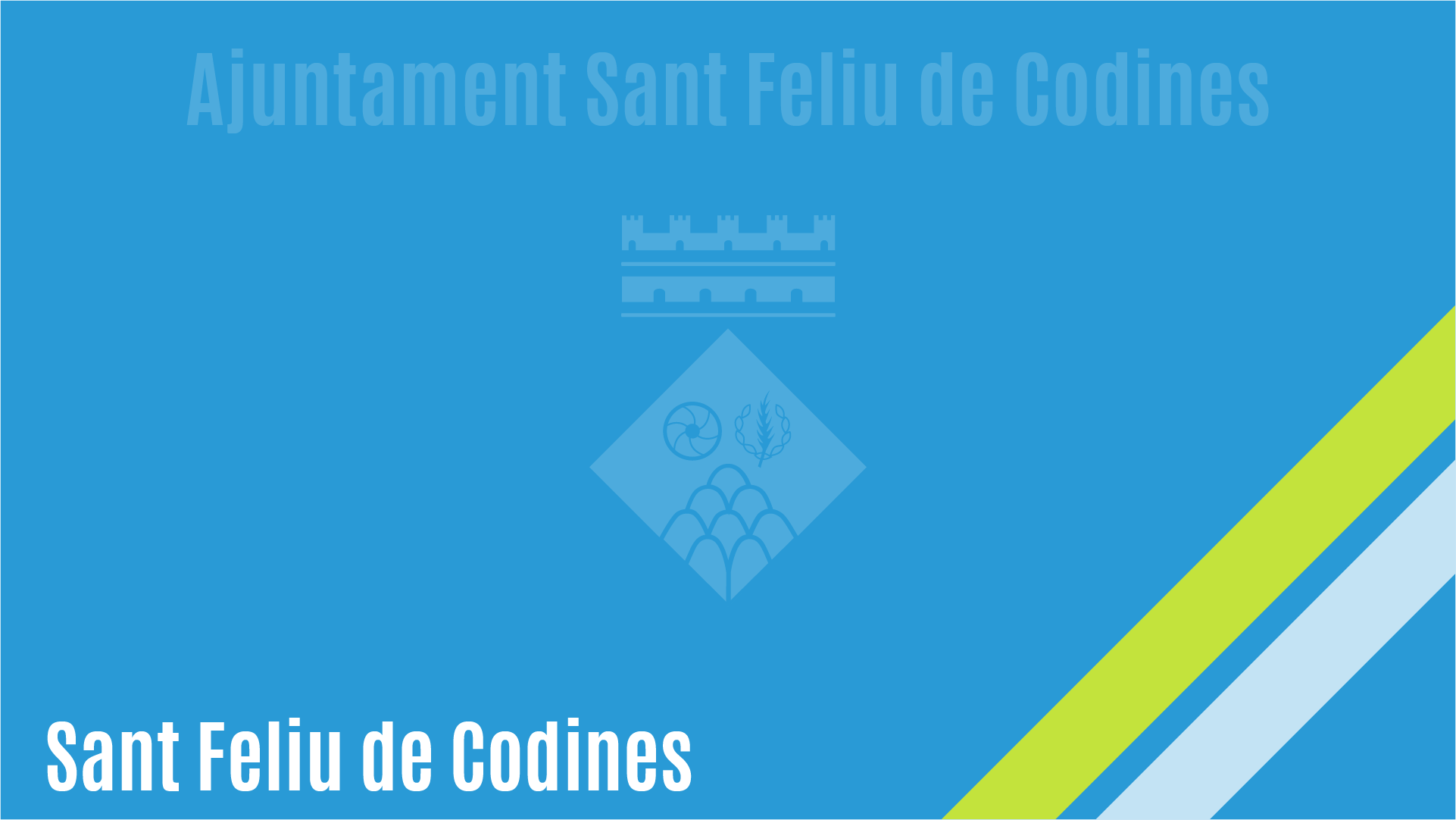 Imagen de portada de la institución Ajuntament De Sant Feliu De Codines